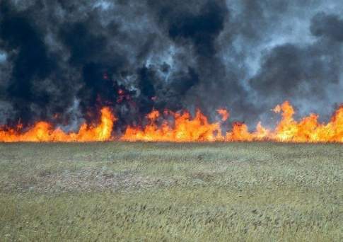 В ВКО во время степного пожара погиб человек